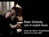 Last of the english roses – Peter Doherty