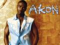 Party Animal – Akon