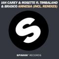 Amnesia – Ian Carey et Rosette et Timbaland