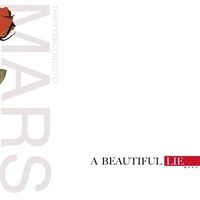 Pochette de A Beautiful Lie