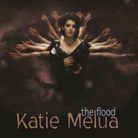 pochette de The Flood