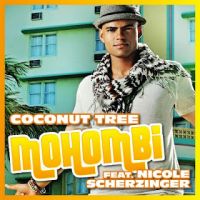pochette de Coconut Tree