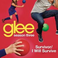 pochette de Survivor / I Will Survive