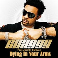 pochette de Dying In Your Arms