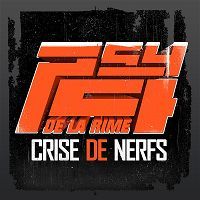 pochette de Crise de nerfs