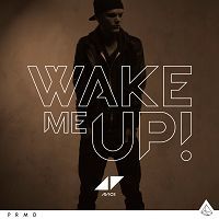 pochette de Wake Me Up !